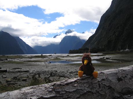 Wiki Jack in Doubtful Sound